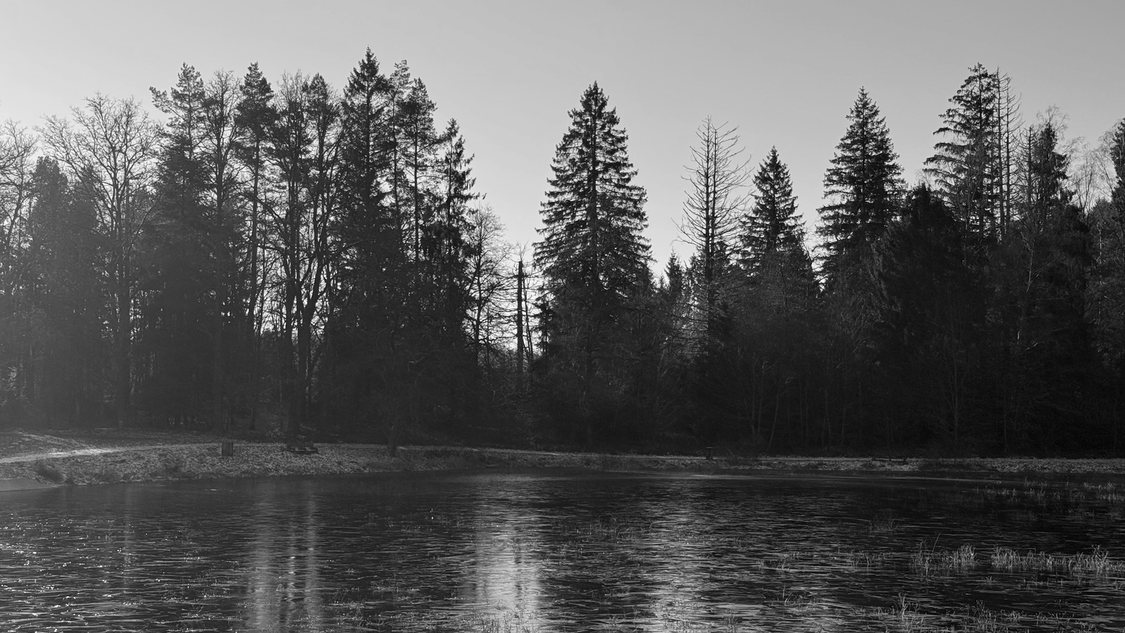 Winter 2025/26 — 002