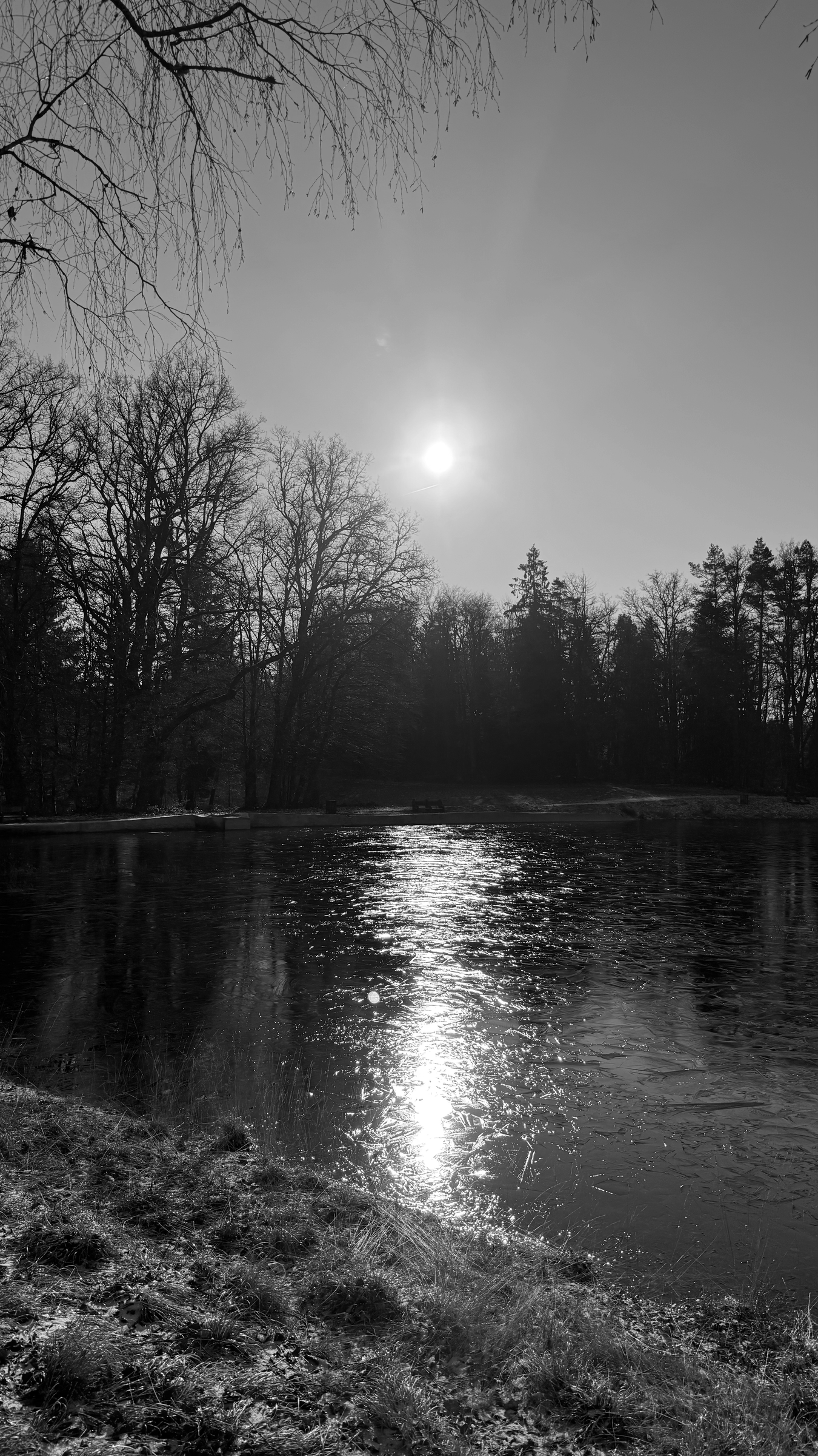 Winter 2025/26 — 003