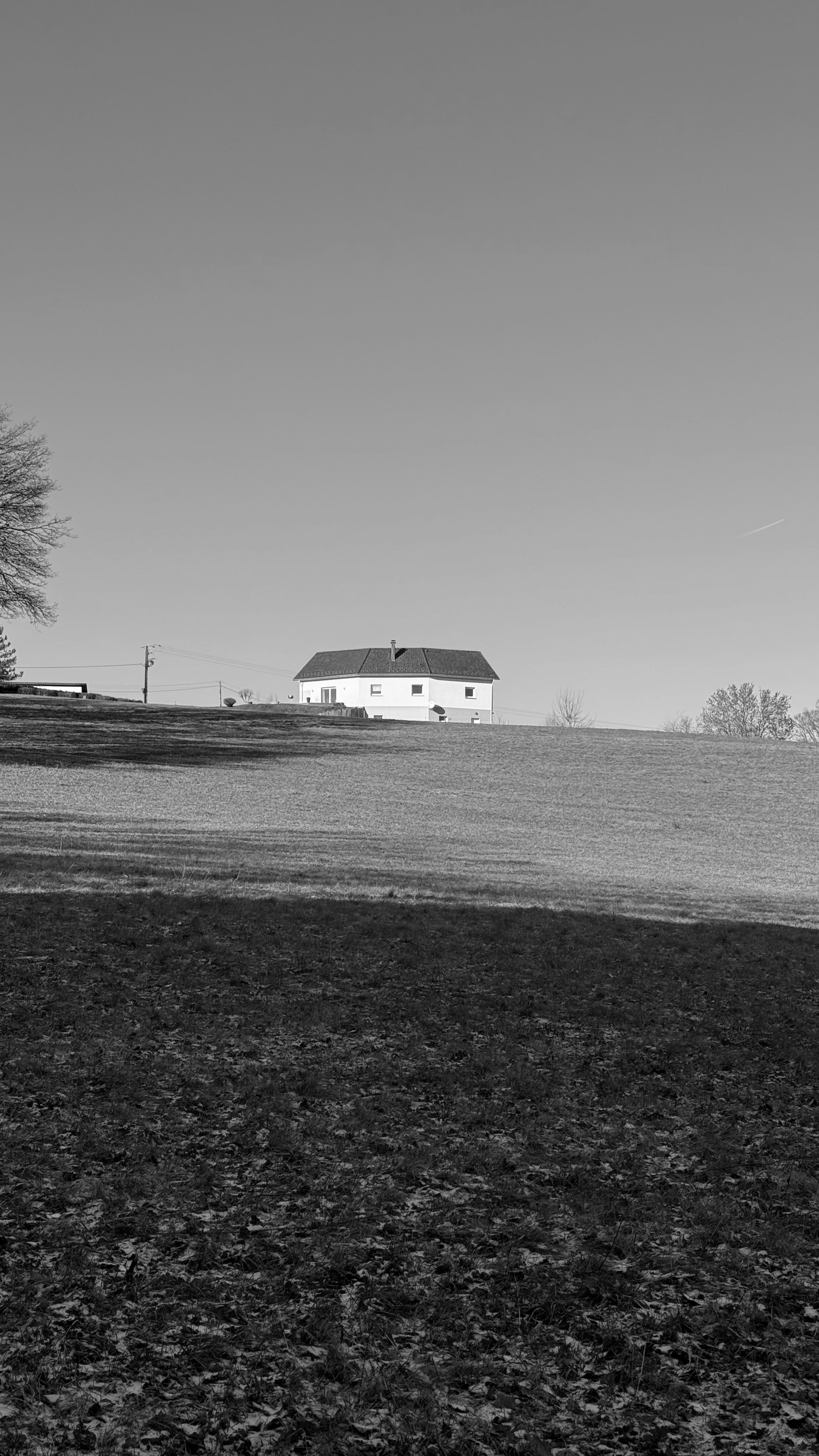 Winter 2025/26 — 007