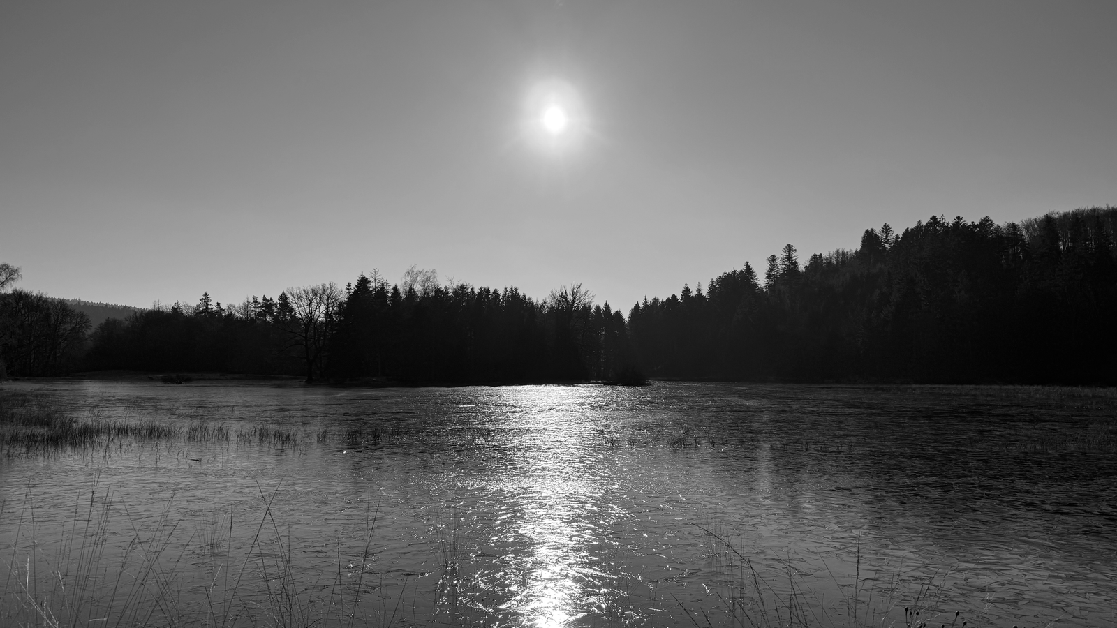 Winter 2025/26 — 008